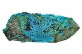 Botryoidal Chrysocolla on Quartz Crystal - Tentadora Mine, Peru #169254-1